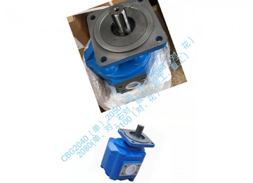 CBG2 gear oil pump